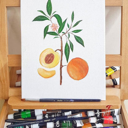 Ohuhu アクリル絵の具 48色 78点セット